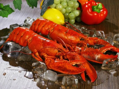 Lobster