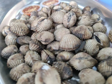 Kerang