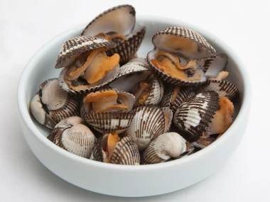 Kerang