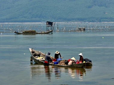 Ikan