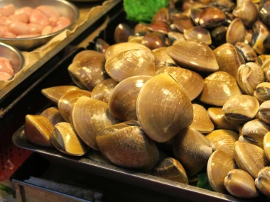 Kerang