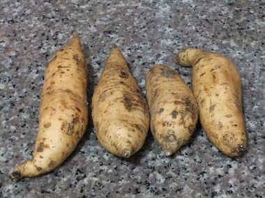 Ubi cilembu