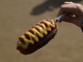 Corndog