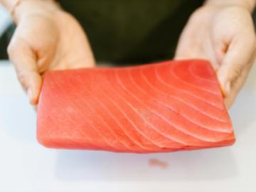Salmon