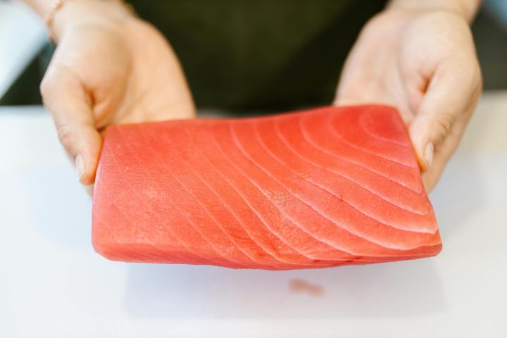 Salmon
