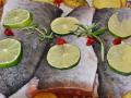 Salmon