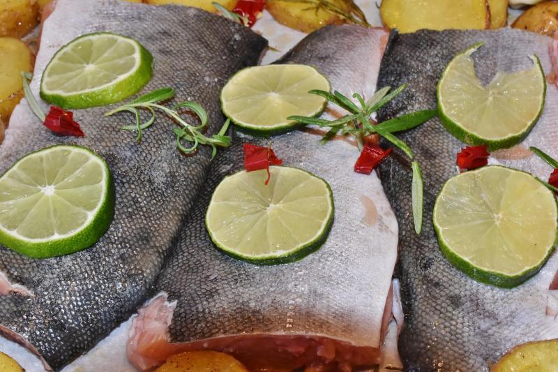 Salmon