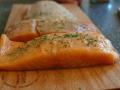 Salmon