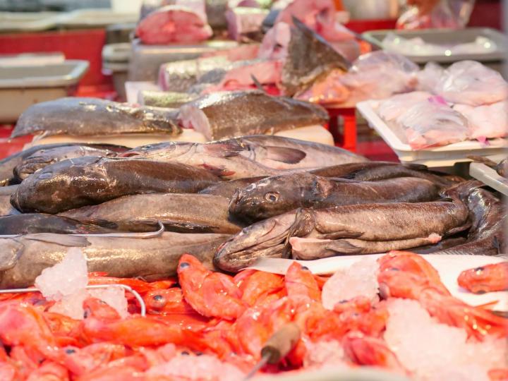 Ikan
