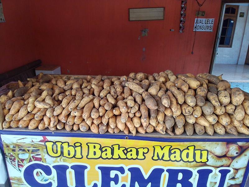 Ubi cilembu