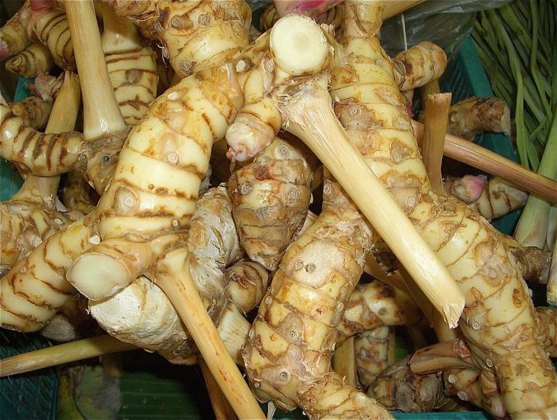 Lengkuas