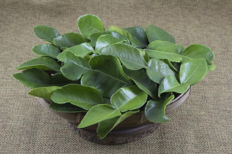 Daun jeruk