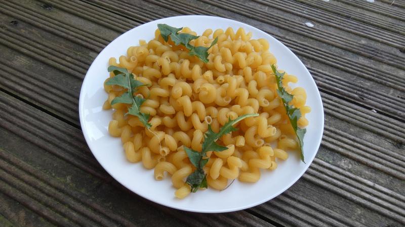 Pasta