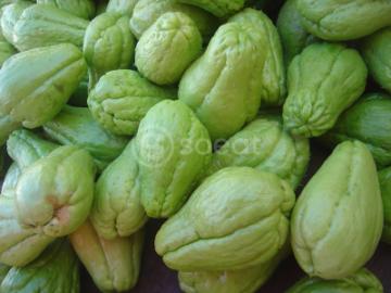 Labu Siam