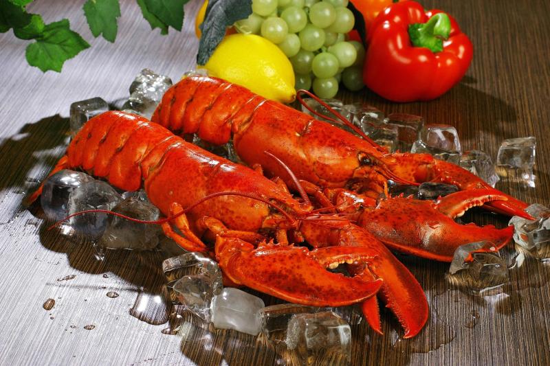 Lobster