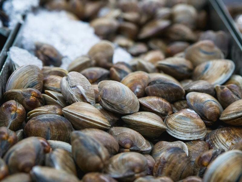 Kerang
