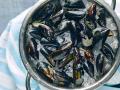 Kerang
