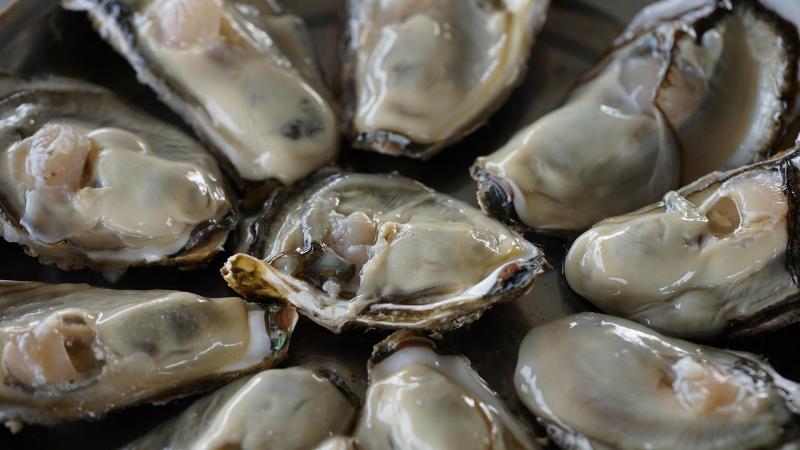 Kerang