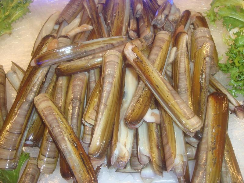 Kerang