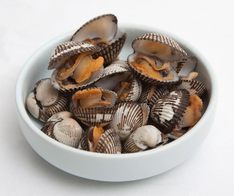 Kerang