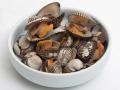 Kerang