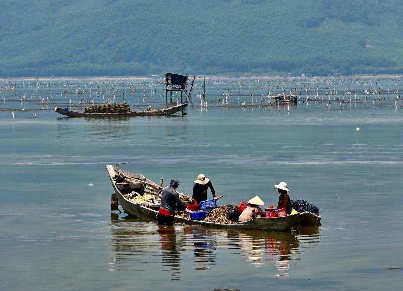 Ikan