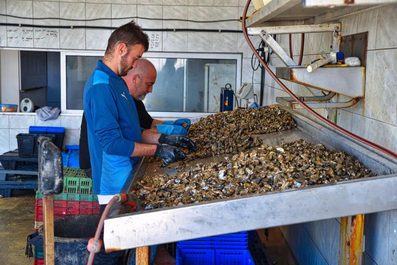 Kerang