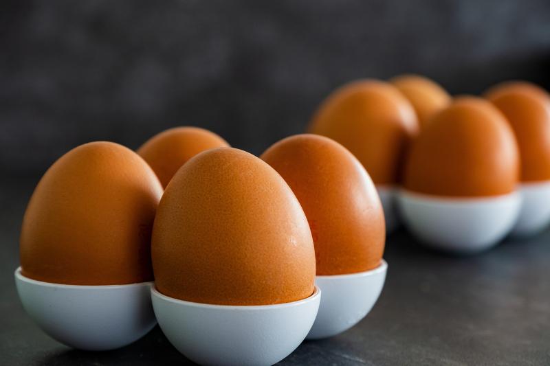 Telur