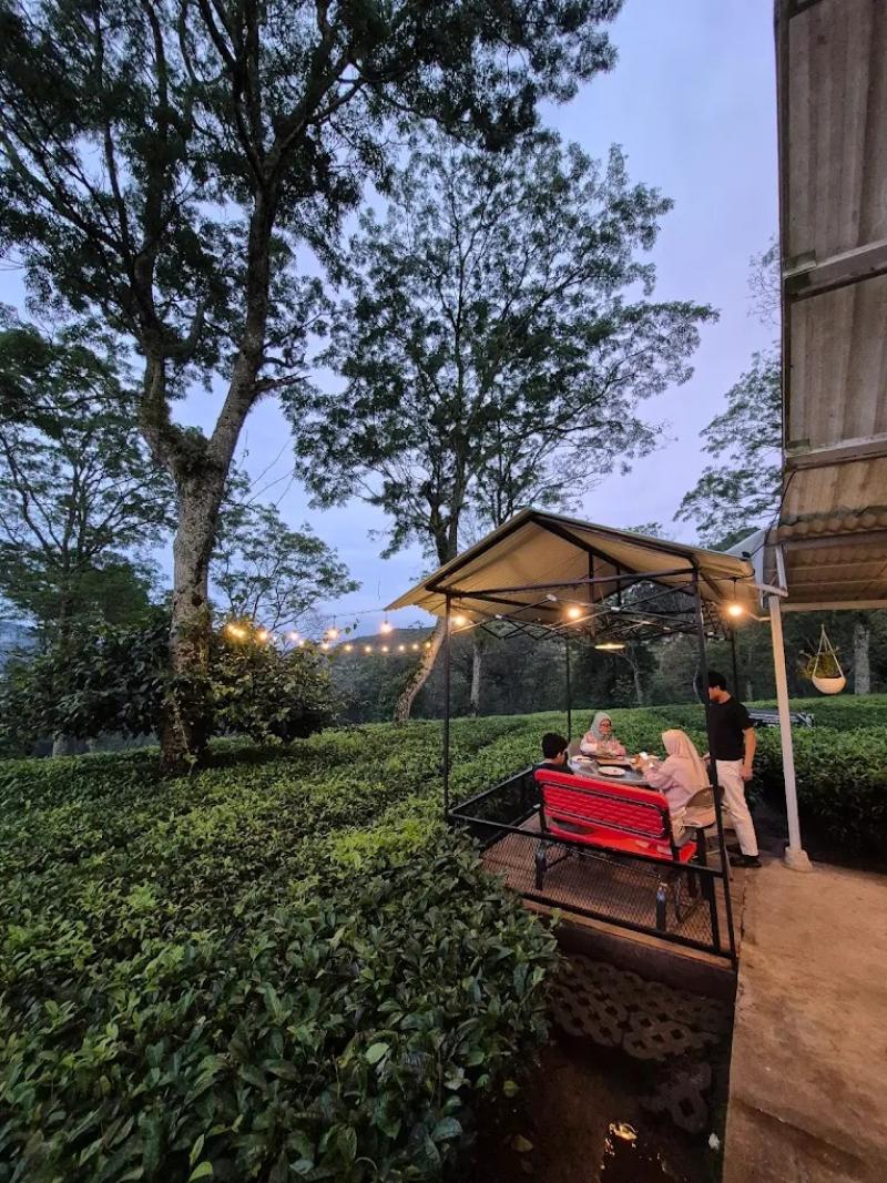 PePeTeKa cafe