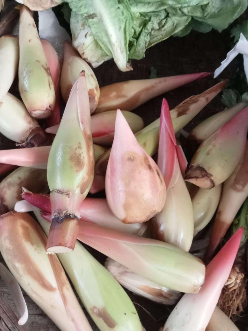 Honje (kecombrang)