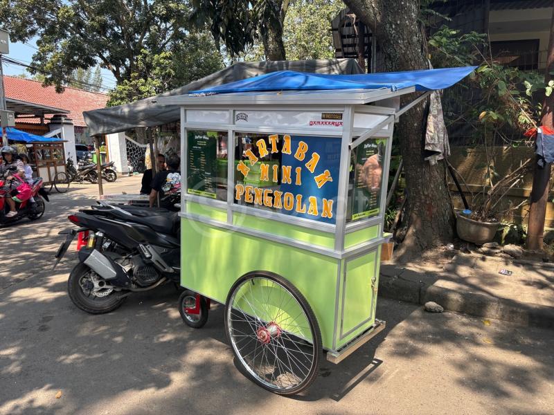 Martabak mini