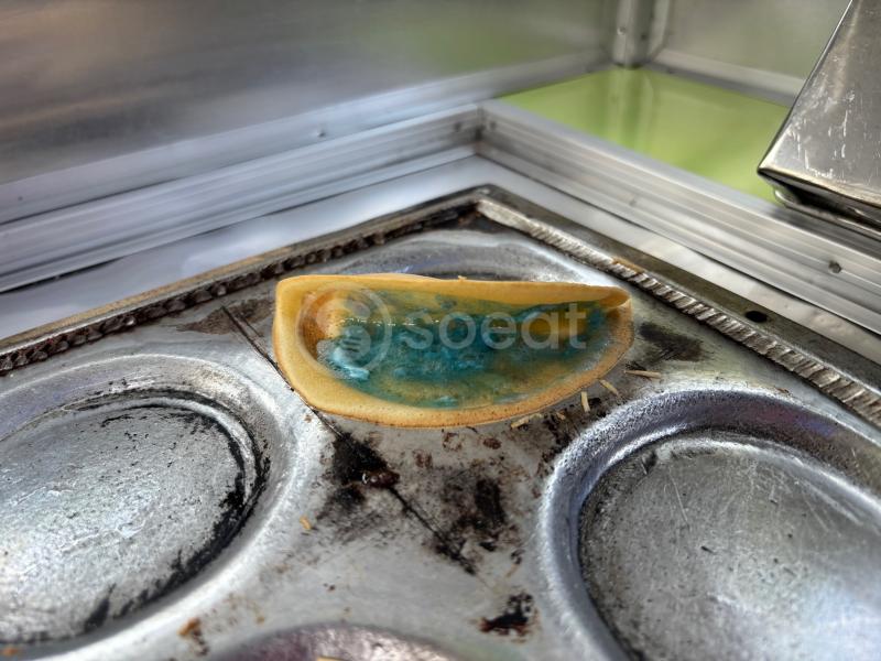 Martabak mini