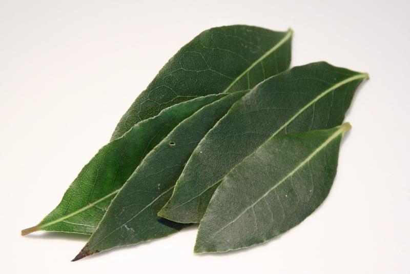 khasiat daun salam