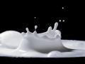 Di tengah padatnya aktivitas dan paparan polusi, menjaga sistem imunitas dengan minum susu adalah hal yang sangat penting.