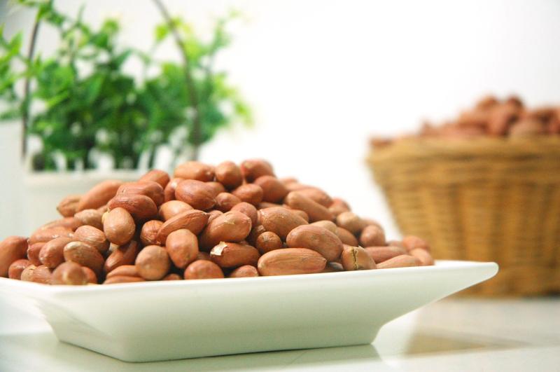Kacang tanah