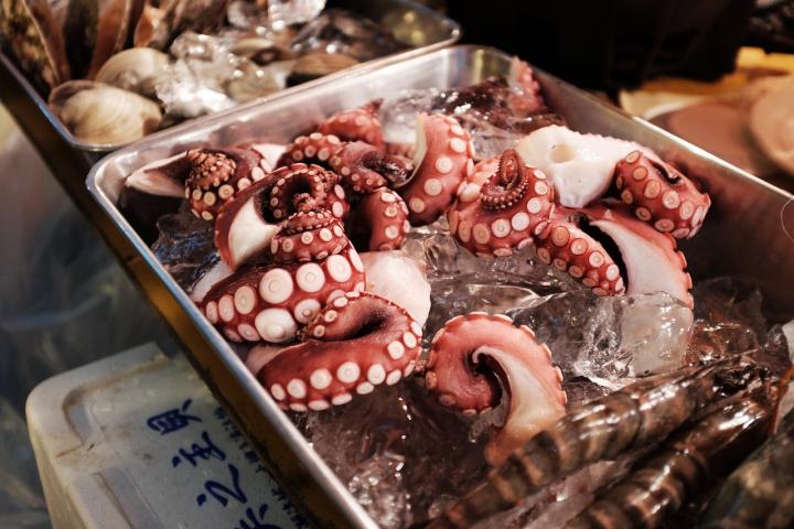 Octopus.