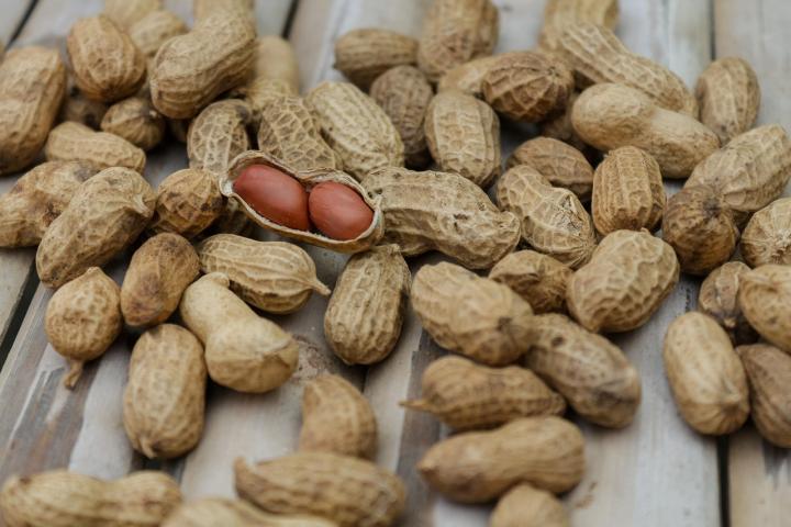 Kacang tanah.