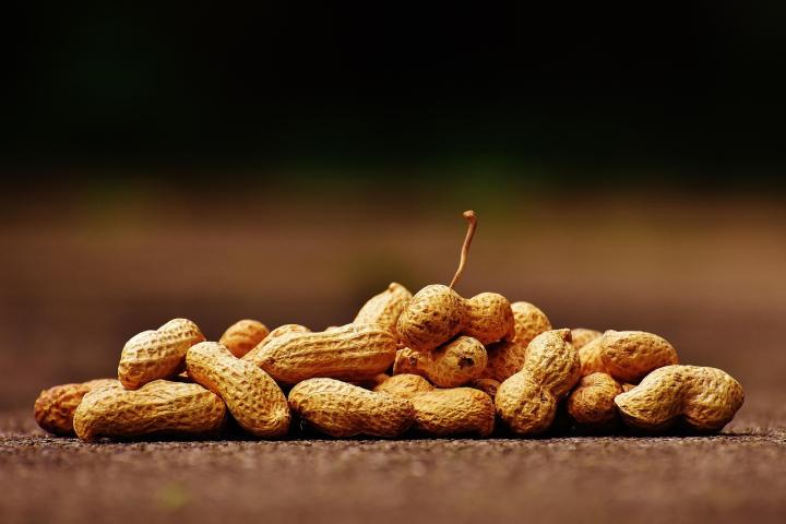 Kacang tanah.