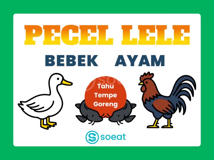 Spanduk pecel lele punya desain khas, dengan warna-warna cerah dan biasanya menampilkan gambar ikan lele atau ayam, serta tulisan "Pecel Lele" atau "Pecel Lele Lamongan".